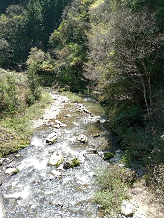 16 aprile 2026 - 12:53, Giappone