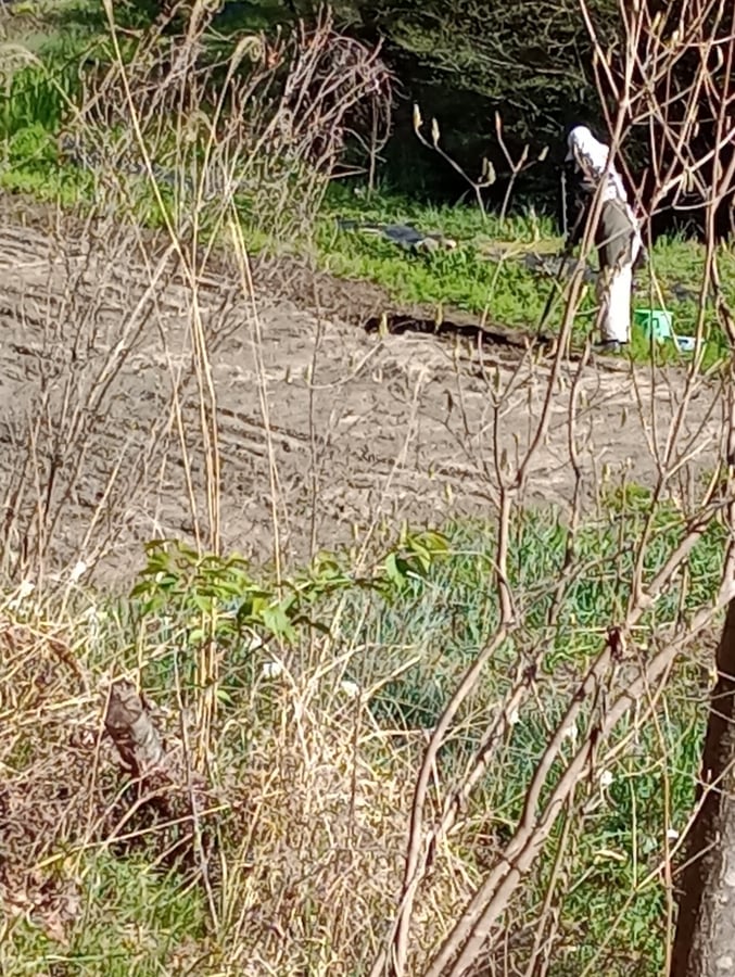lavorare la terra, Giappone