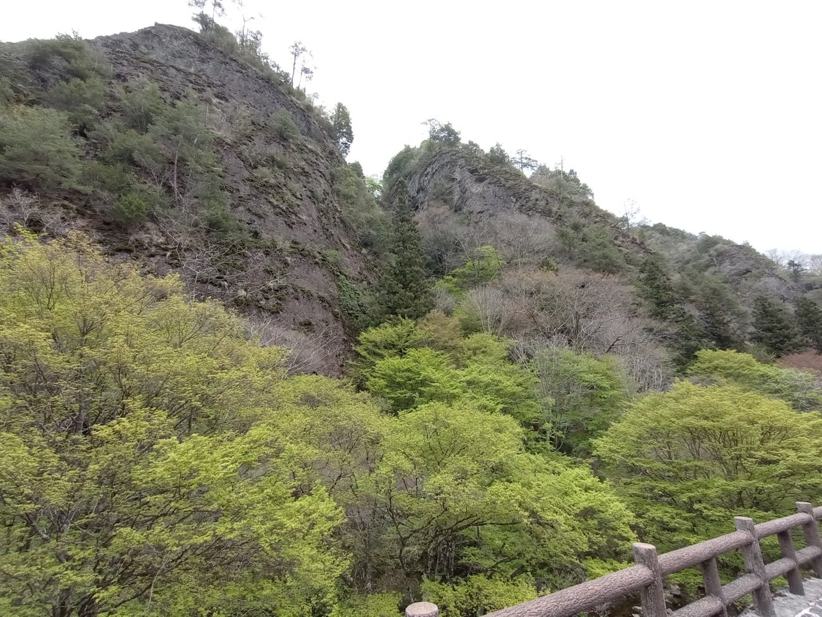 17 de abril de 2026 - 10:37, Japón
