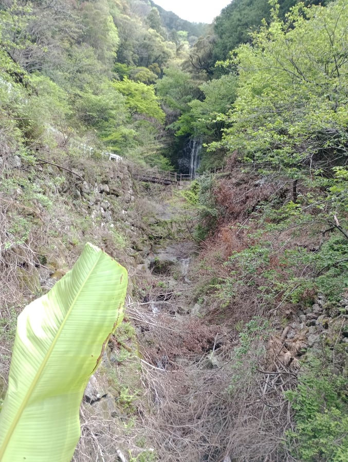 17 de abril de 2026 - 13:40, Japón