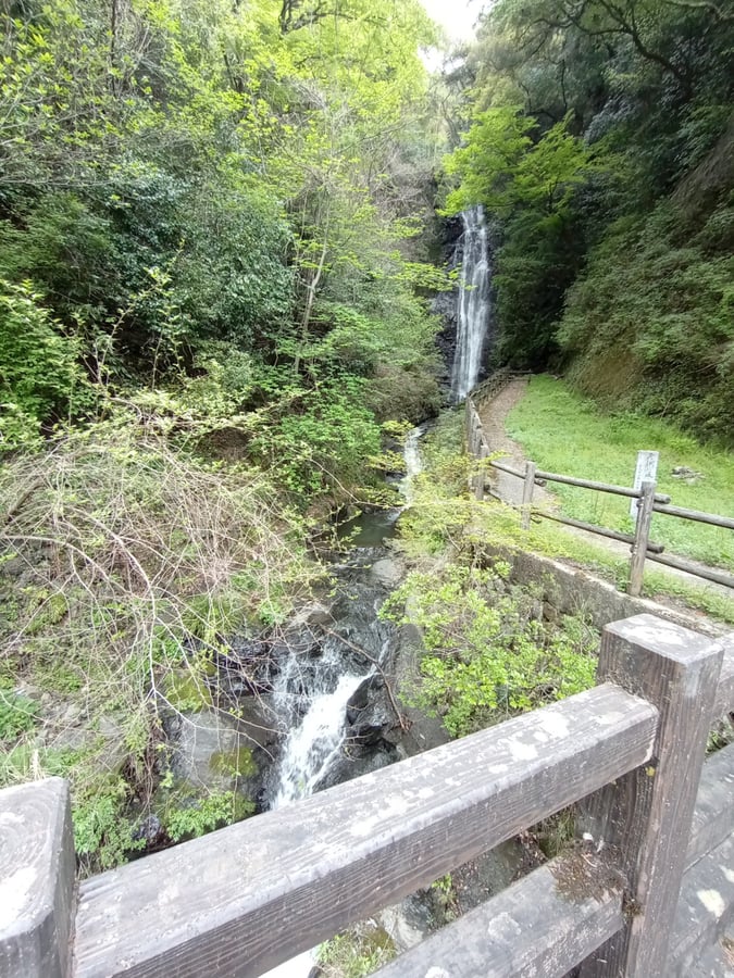 17 de abril de 2026 - 13:40, Japón
