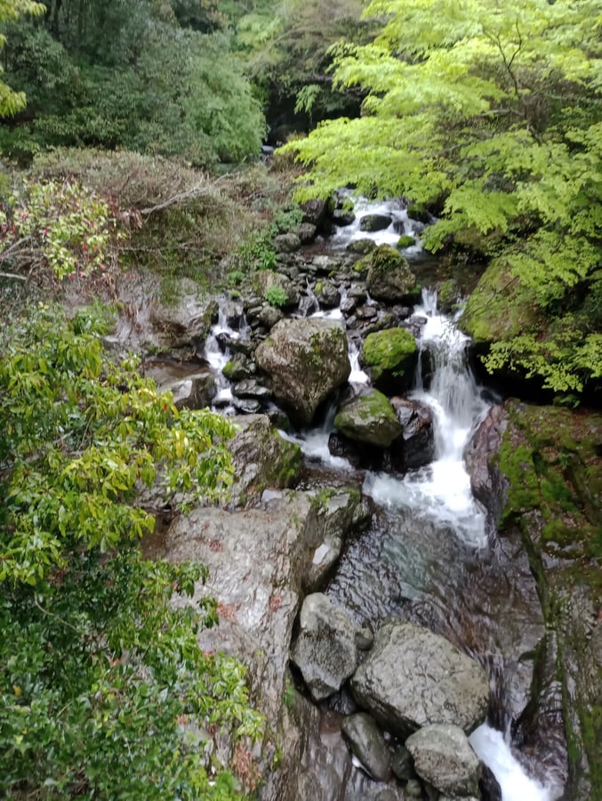17 de abril de 2026 - 15:36, Japón