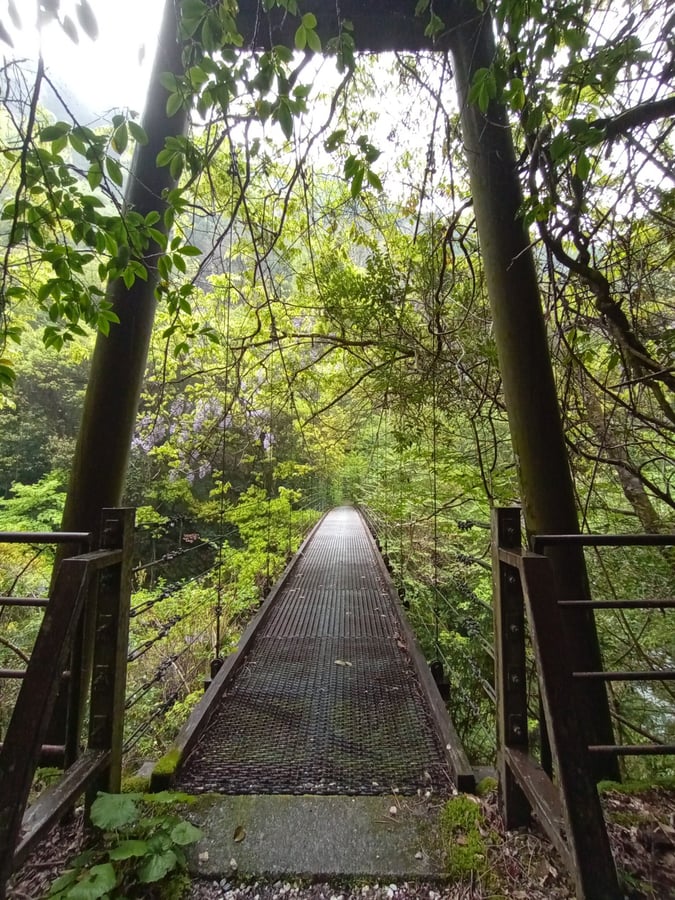 17 de abril de 2026 - 15:46, Japón
