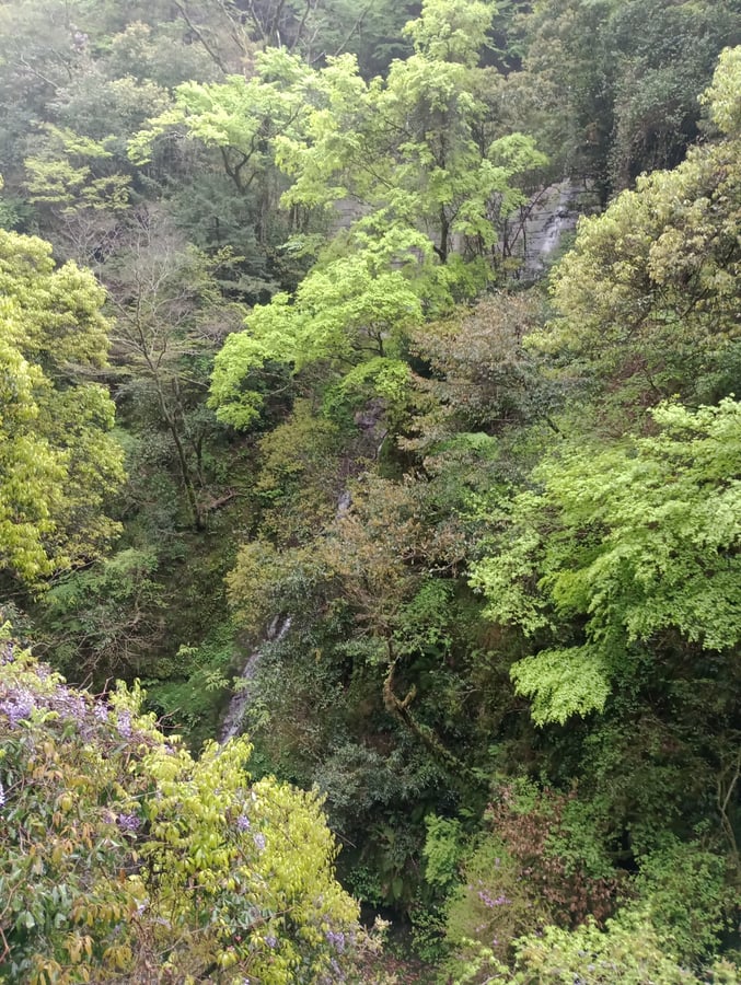 17 de abril de 2026 - 15:46, Japón