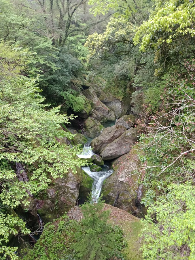 17 de abril de 2026 - 15:46, Japón