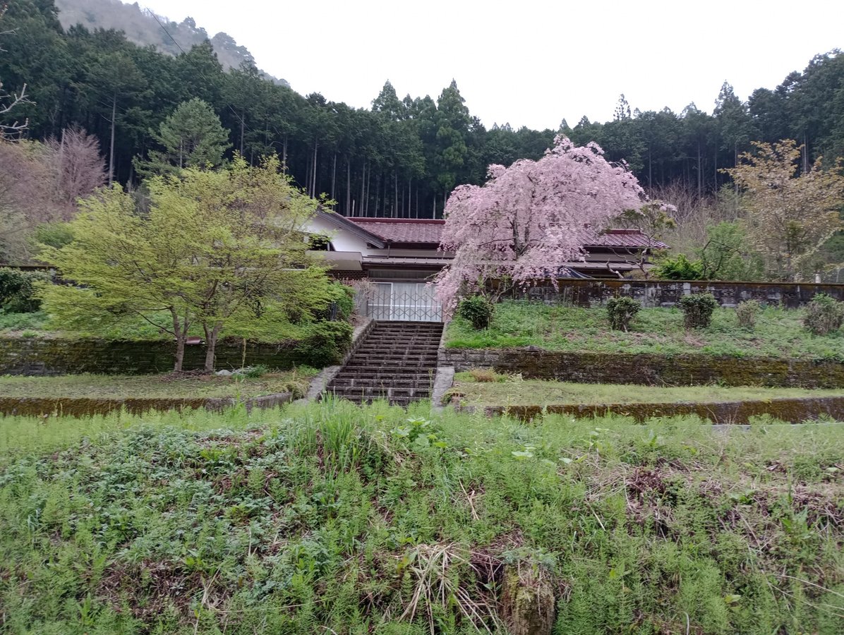 18. April 2026 - 15:47 Uhr, Japan