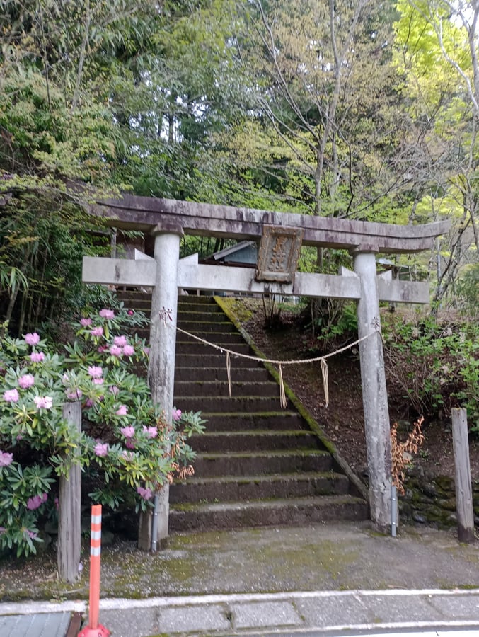 18. April 2026 - 15:58 Uhr, Japan