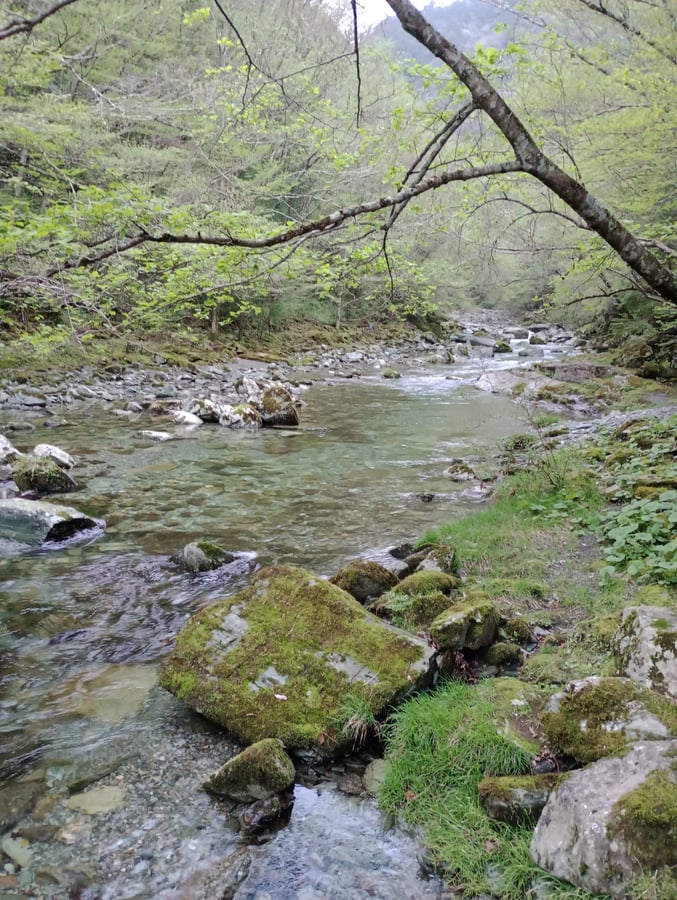 Fluss am Campingplatz, Japan