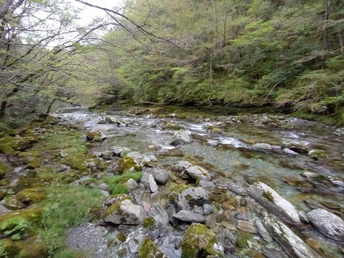 Fluss am Campingplatz, Japan