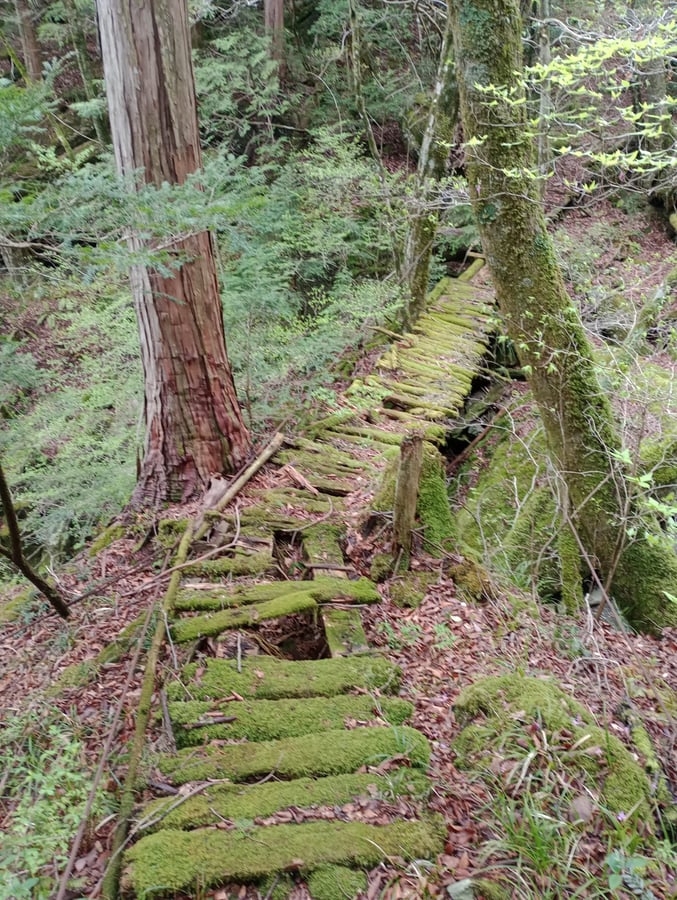 Juhu, der Wanderweg existiert!, Japan