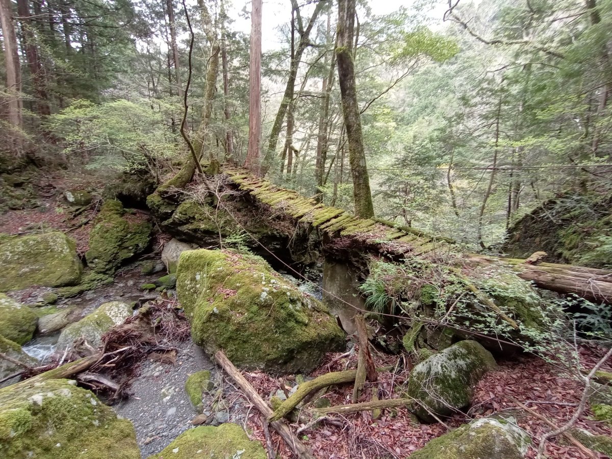 Juhu, der Wanderweg existiert!, Japan