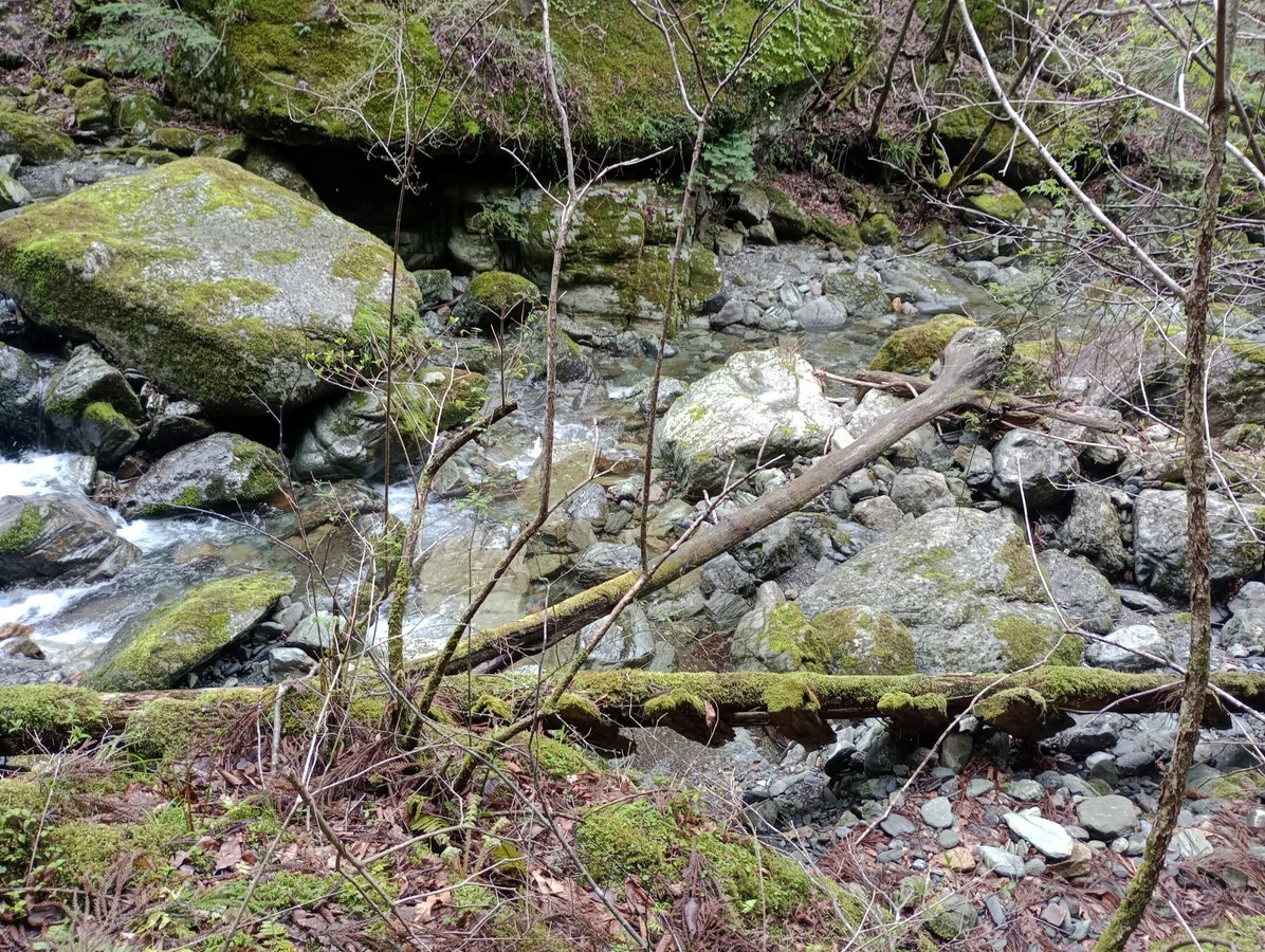 Hier stand einst eine Brücke..., Japan
