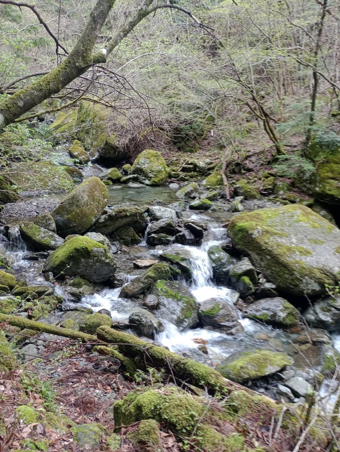 Hier stand einst eine Brücke..., Japan