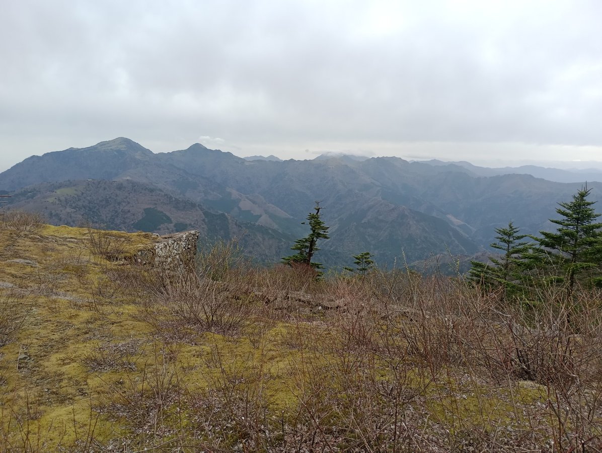 Noch nicht am Gipfel angekommen, Japan