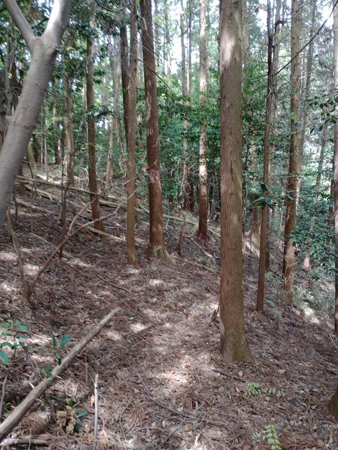 Oh je!, Japan