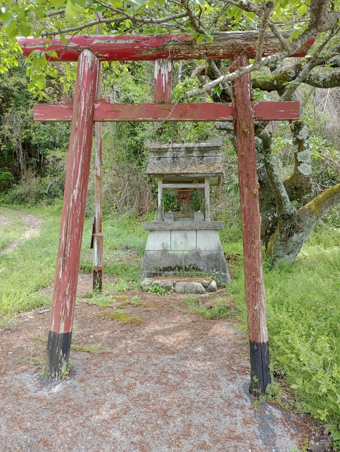 21. April 2026 - 10:57 Uhr, Japan