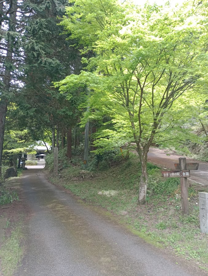 21. April 2026 - 11:14 Uhr, Japan