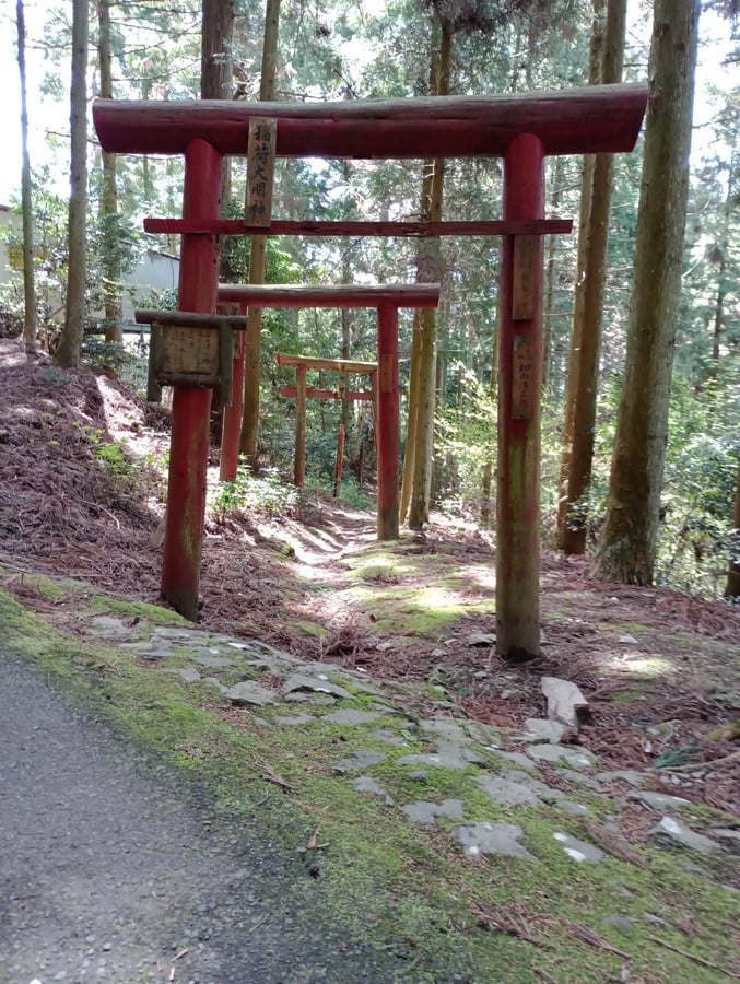 21. April 2026 - 14:01 Uhr, Japan