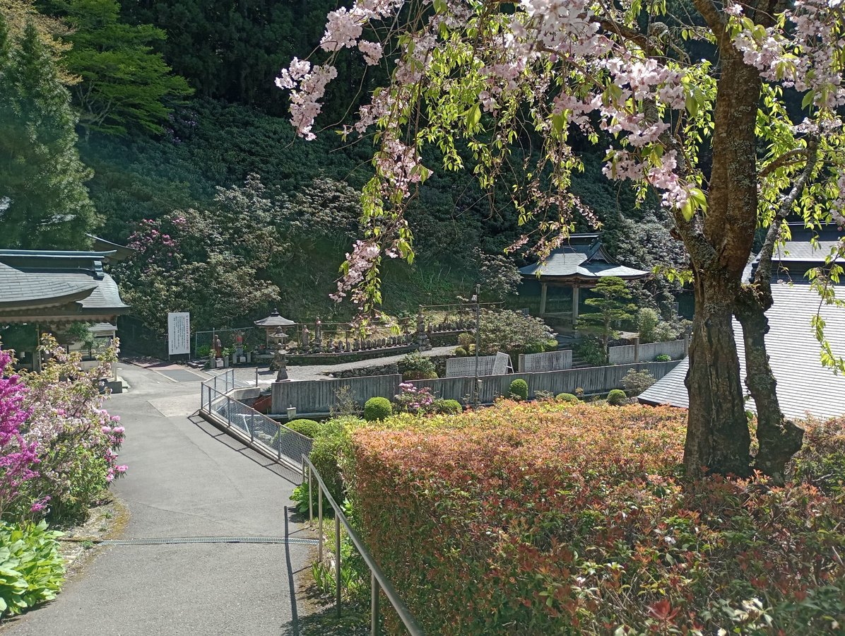 21. April 2026 - 14:01 Uhr, Japan