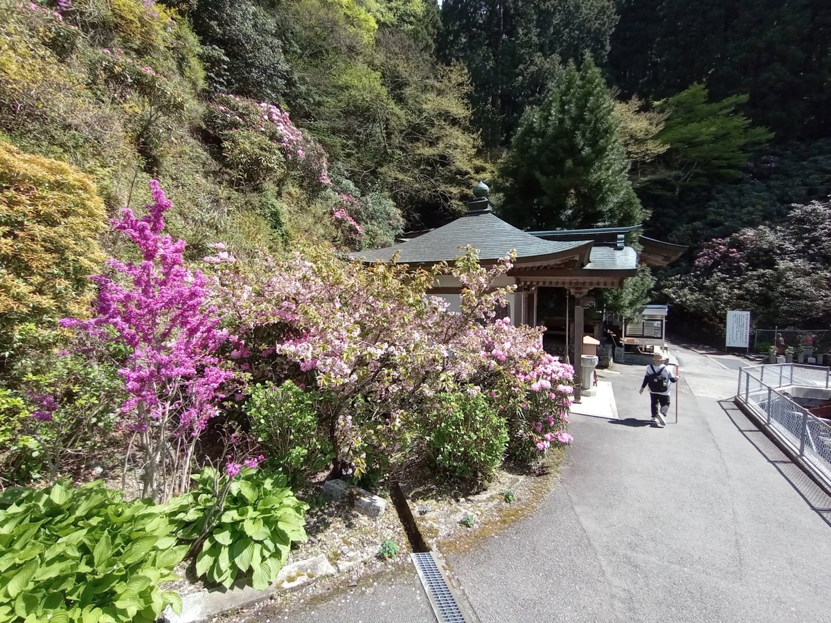 21. April 2026 - 14:01 Uhr, Japan