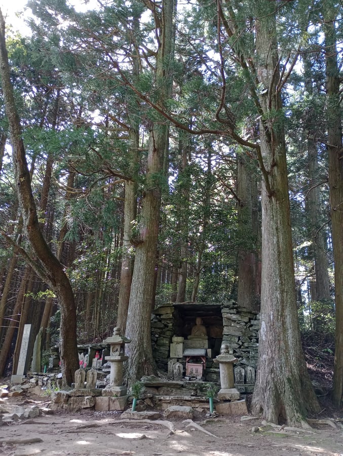 21. April 2026 - 14:50 Uhr, Japan