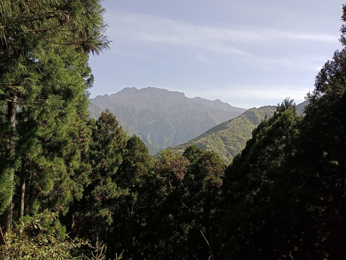 21. April 2026 - 14:50 Uhr, Japan