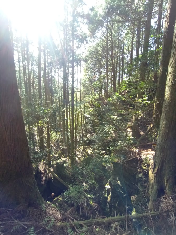 21. April 2026 - 15:10 Uhr, Japan