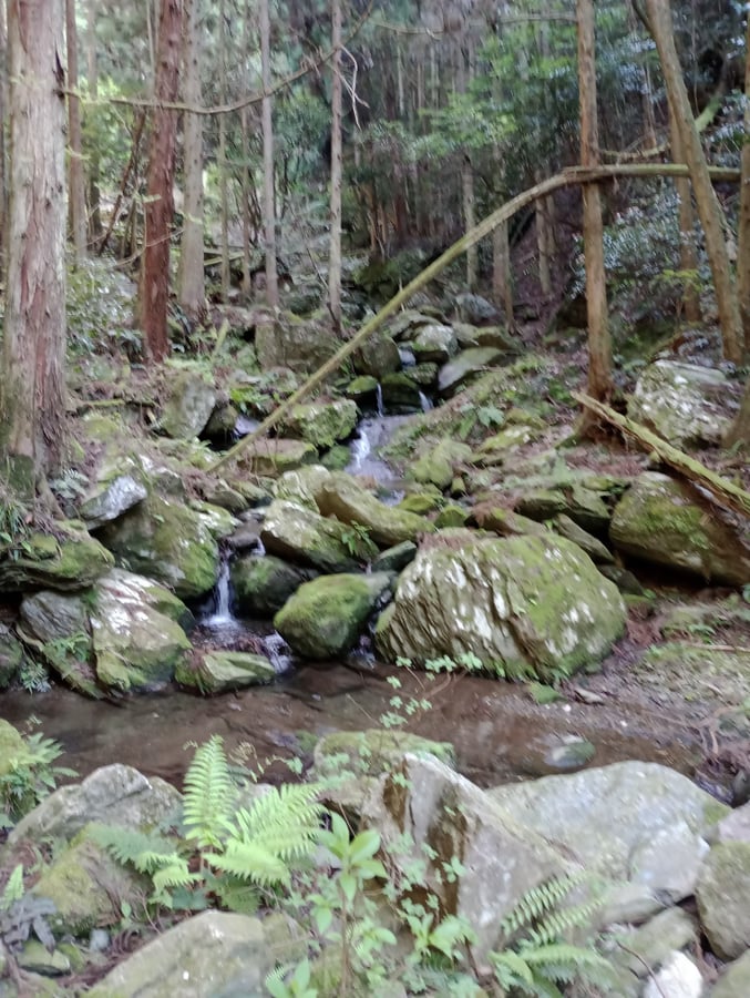 21. April 2026 - 15:26 Uhr, Japan