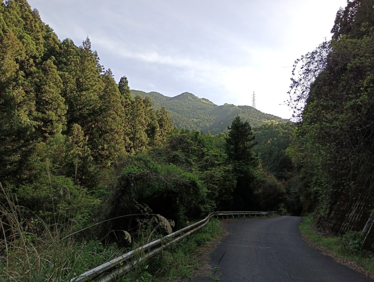 21. April 2026 - 16:10 Uhr, Japan