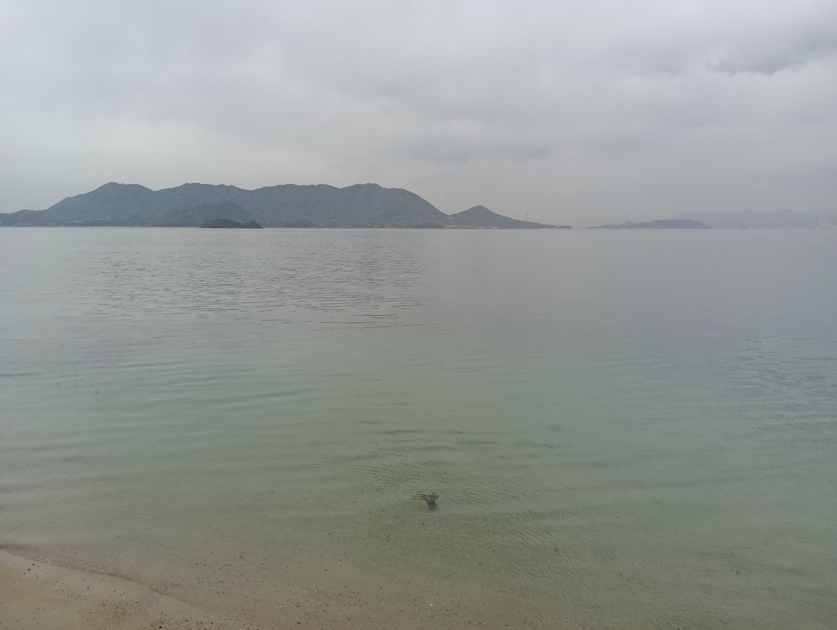 22 aprile 2026 - 16:25, Giappone