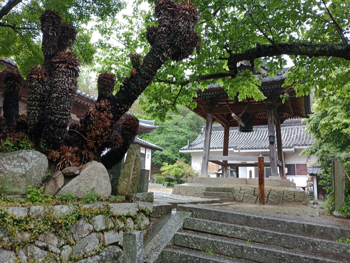 Kojoji-Tempel, Japan