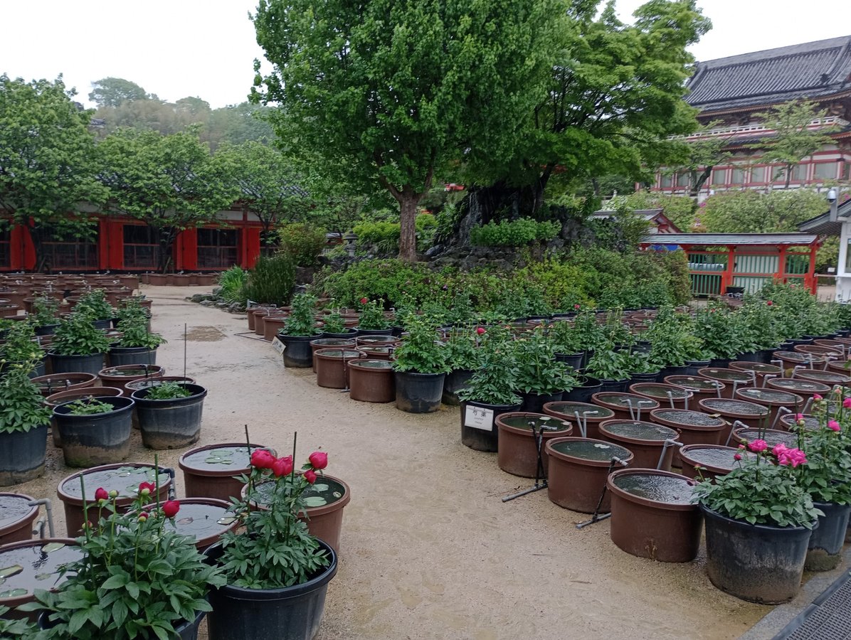 Kousanji-Tempel, Japan