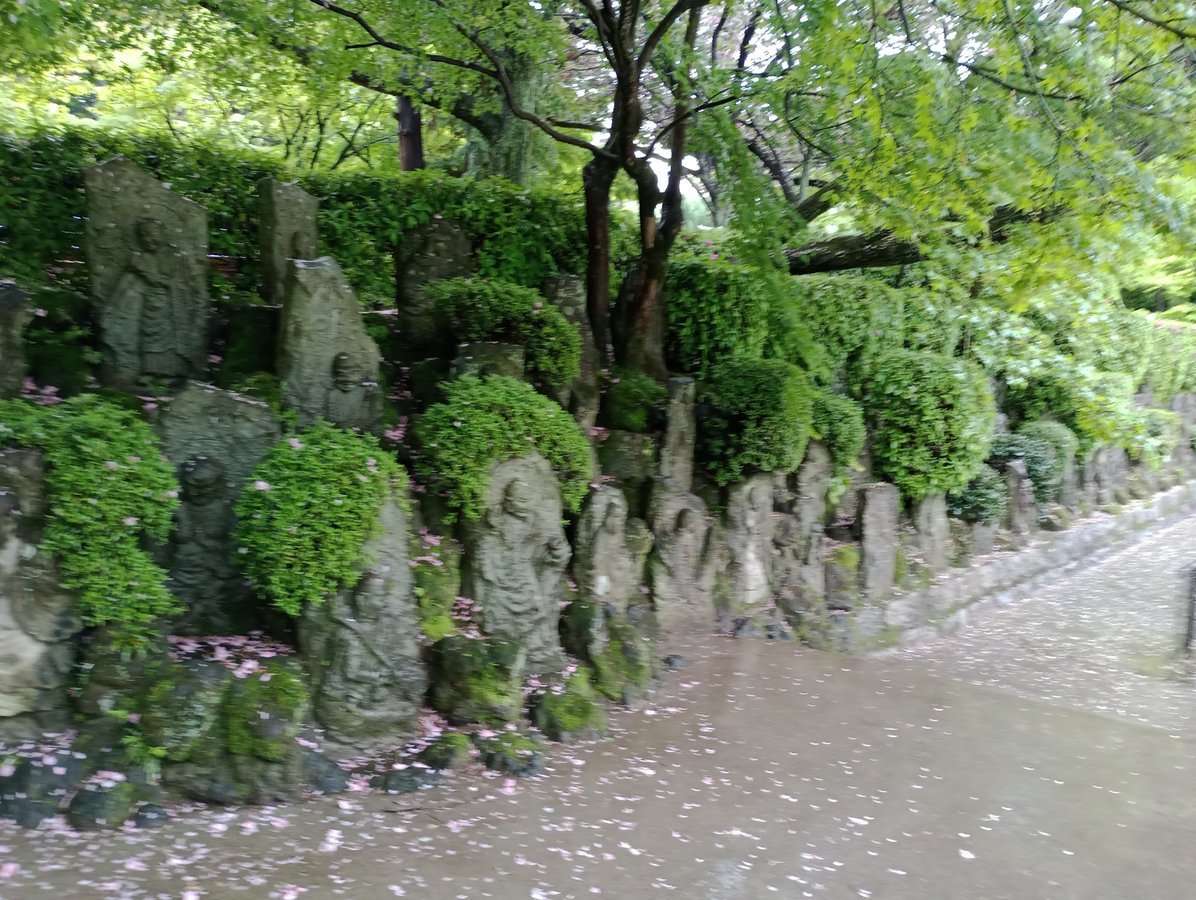 23. April 2026 - 12:49 Uhr, Japan