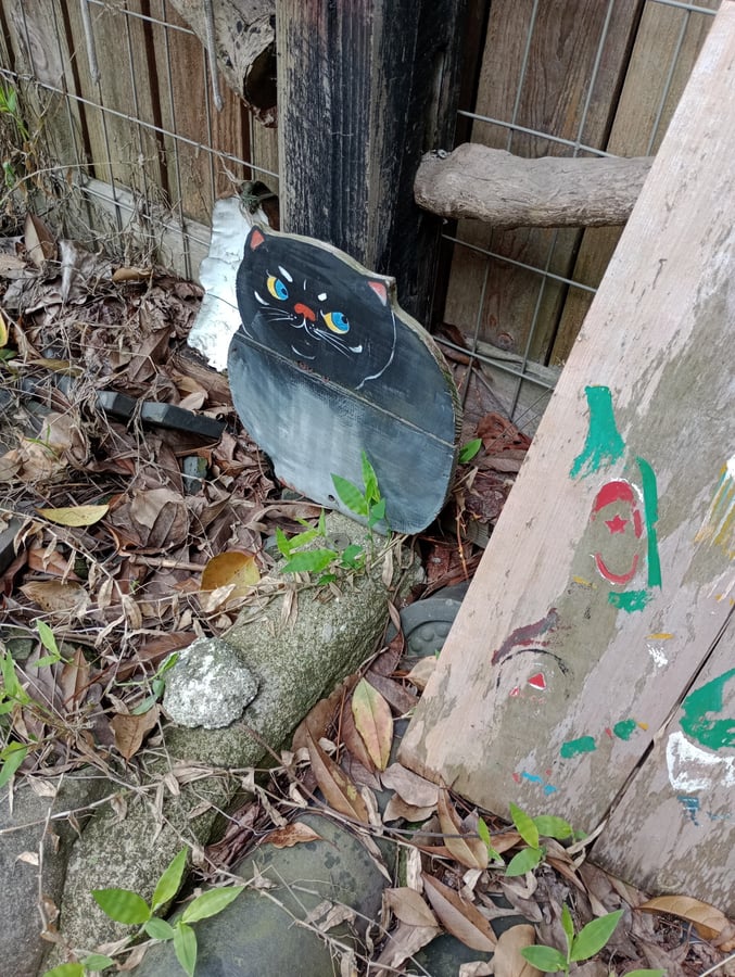 Auf der Suche nach der Katzenallee, Japan