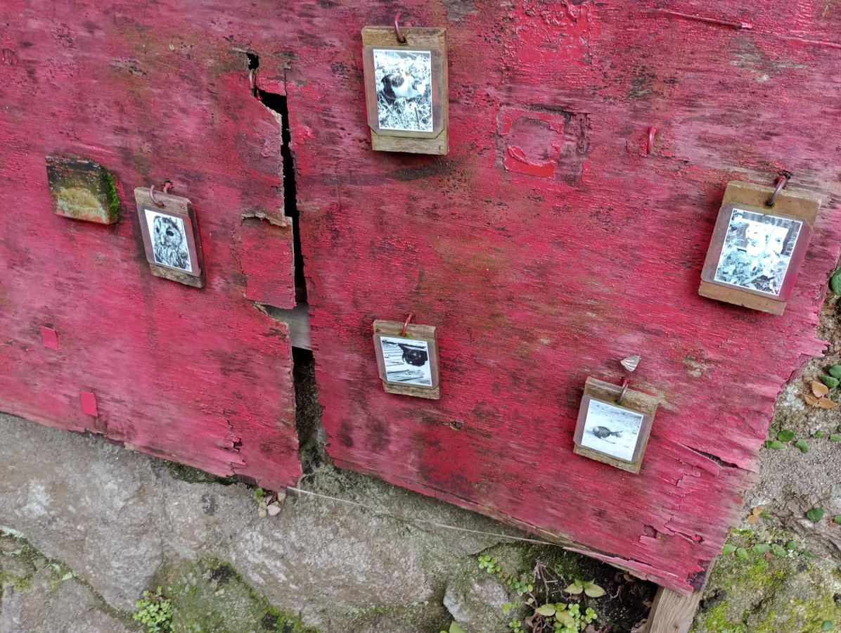 Vicolo dei gatti, Giappone