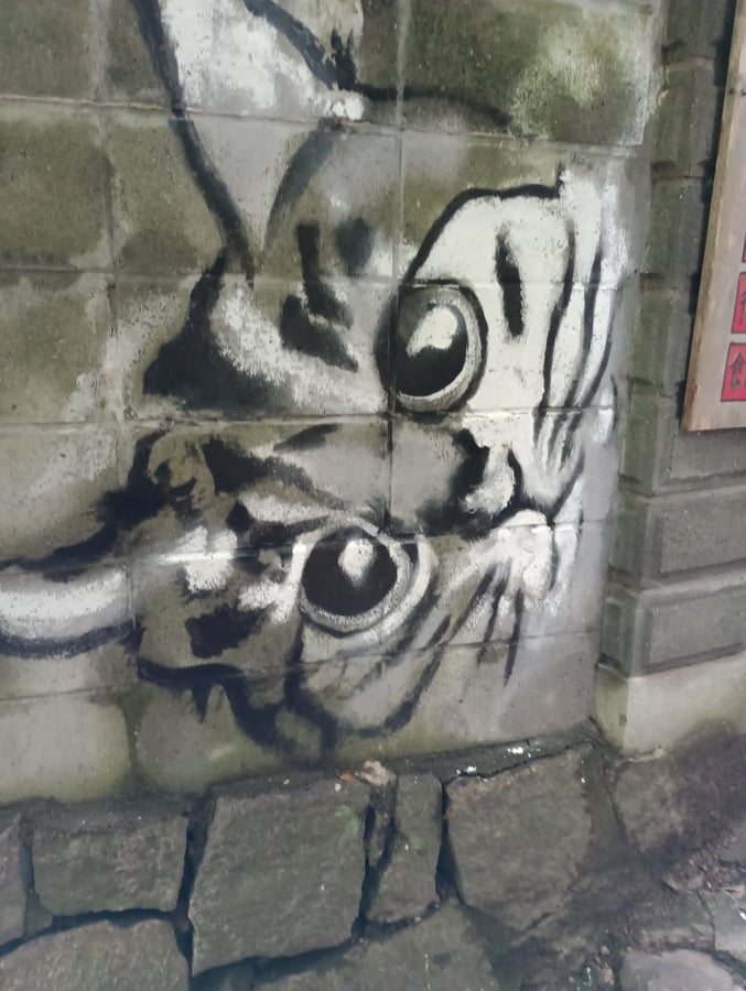 Vicolo dei gatti, Giappone