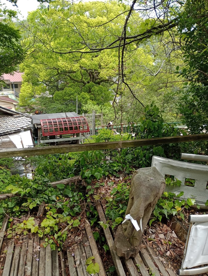 24. April 2026 - 12:33 Uhr, Japan