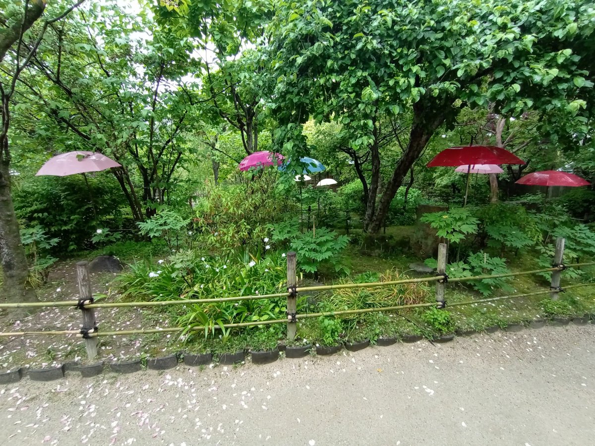 26 April 2026 - 14:24, Japan