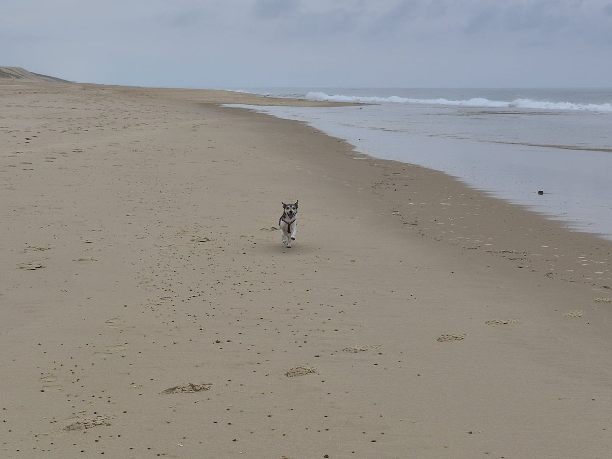 28.4. Moliets et Maa, Francia