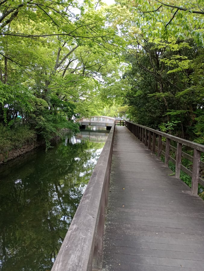 Edegawa Green Road, Giappone