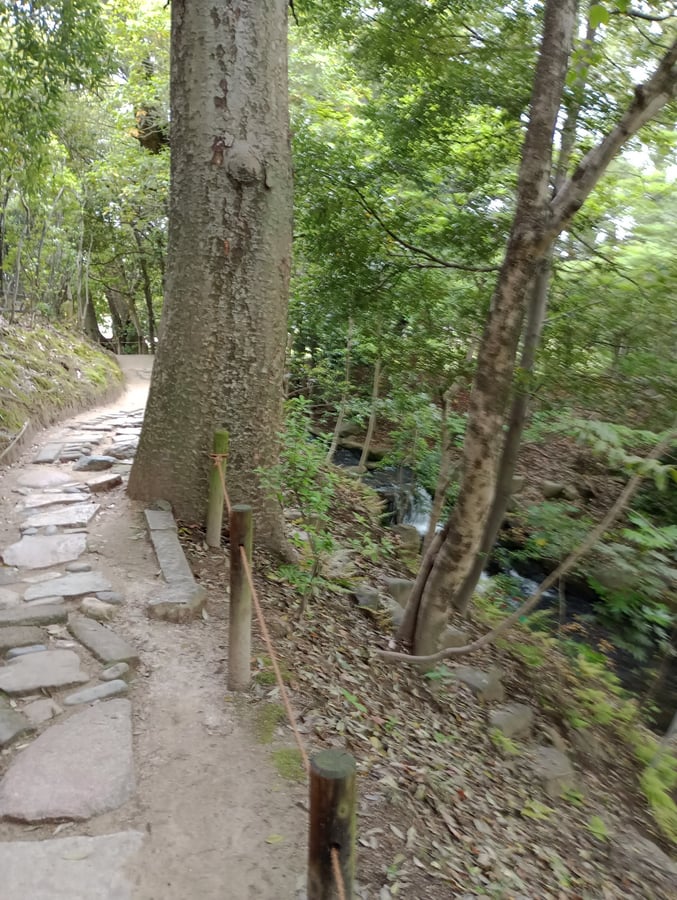 29. April 2026 - 11:12 Uhr, Japan