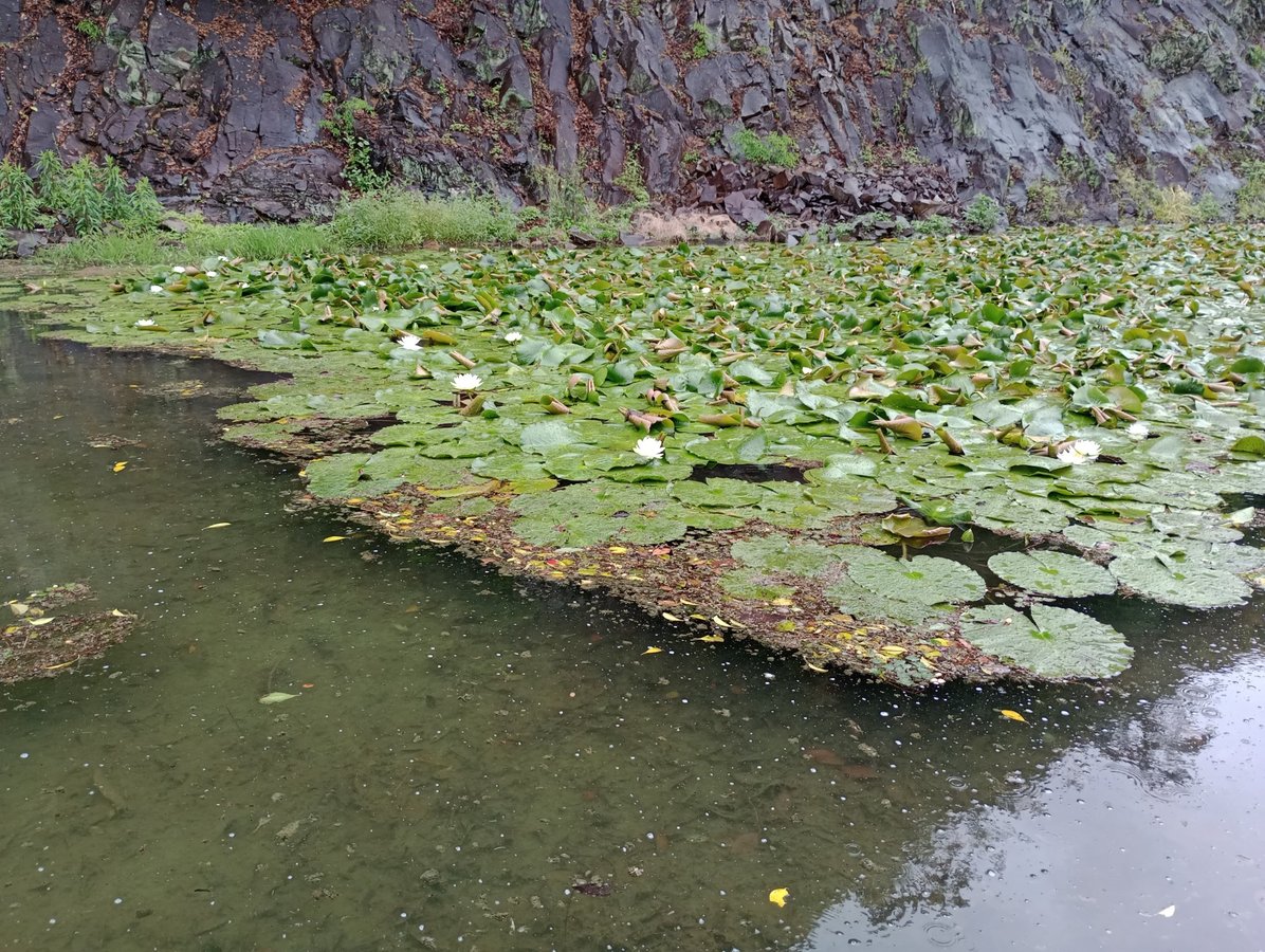 Ritsurin-Garten, Japan