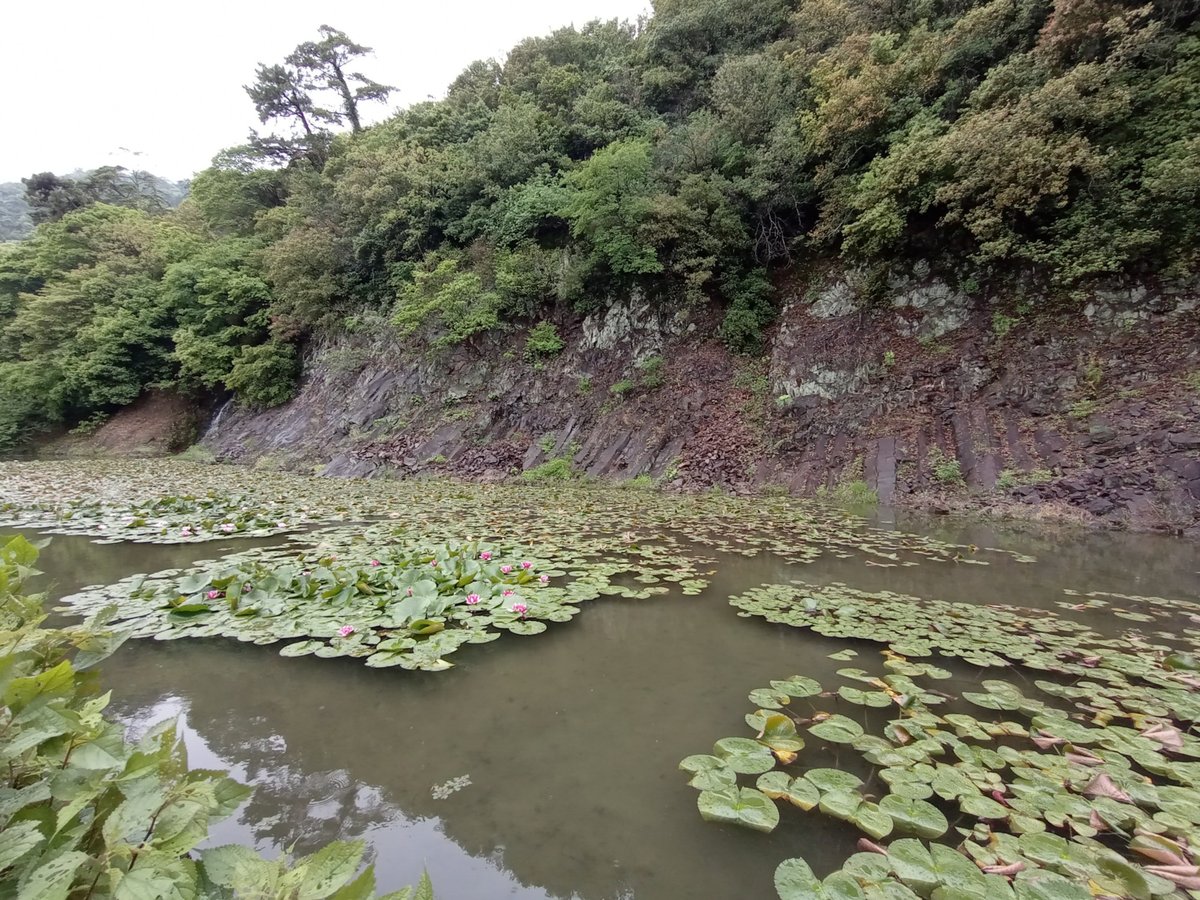 Giardino Ritsurin, Giappone