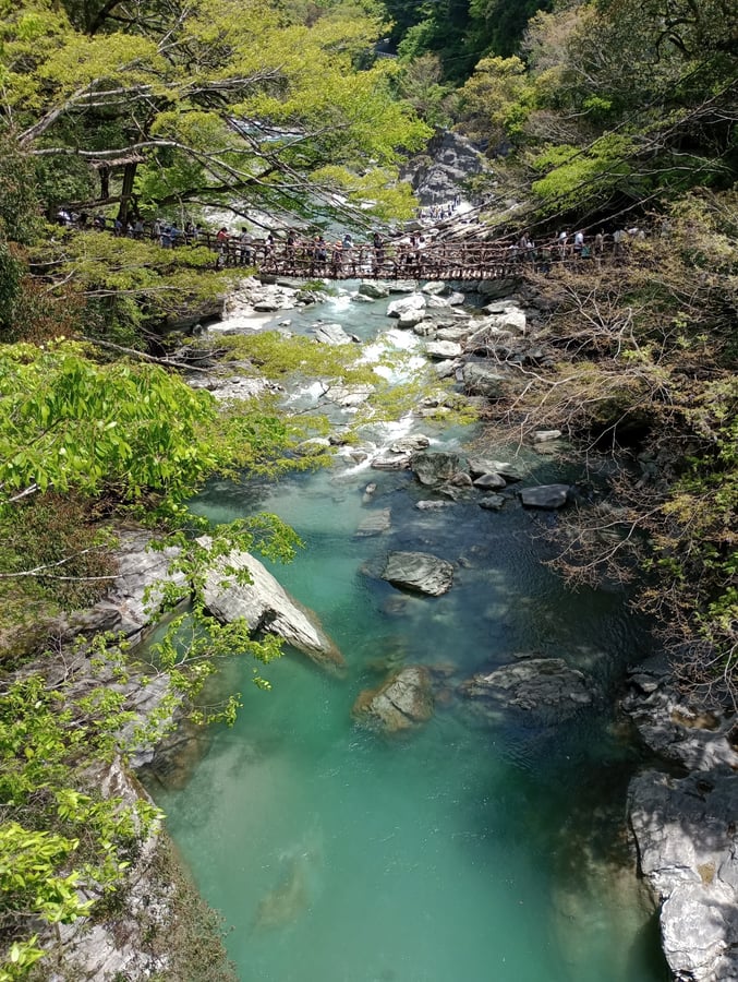Erste Weinbrücke, Japan