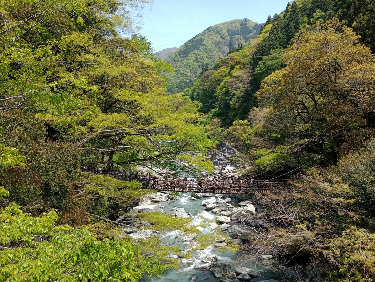 Erste Weinbrücke, Japan