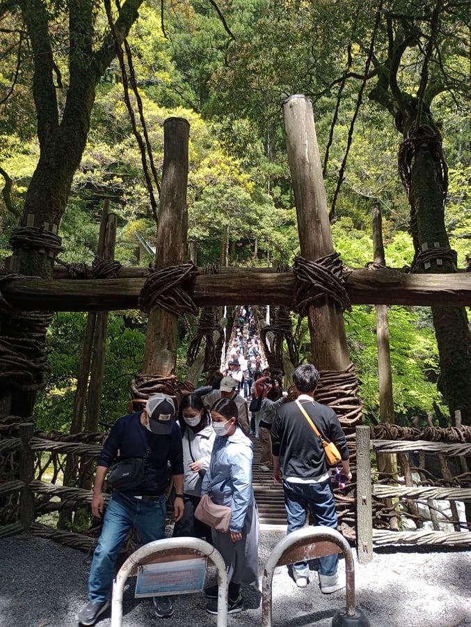 Erste Weinbrücke, Japan