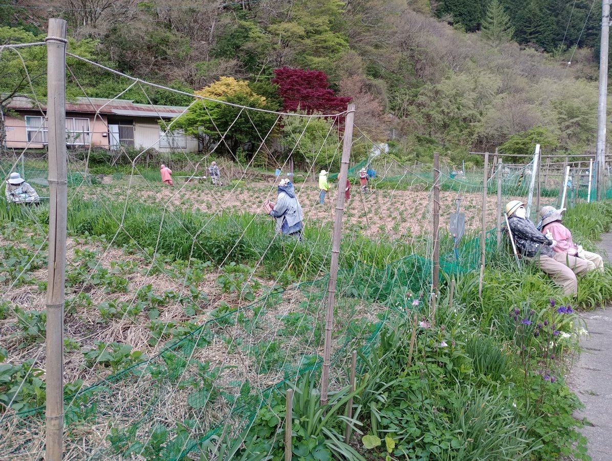 Vogelscheuchendorf, Japan