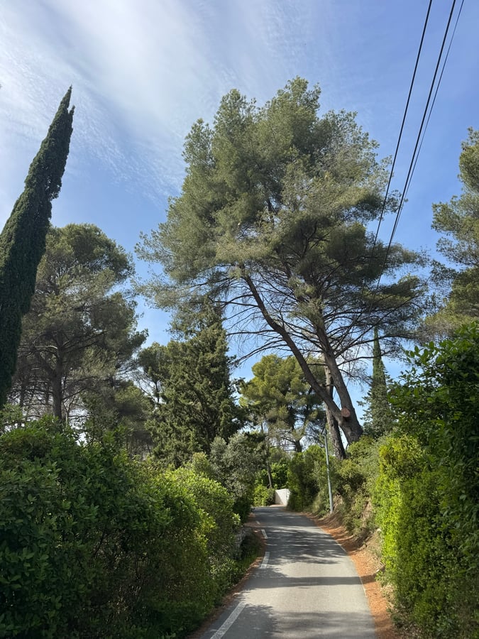 2 May 2026 - 18:12, France