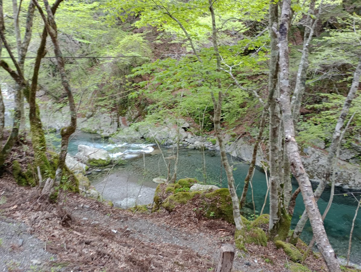 Campeggio con ponti di vite, Giappone