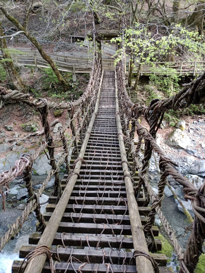 ponti di vite, Giappone